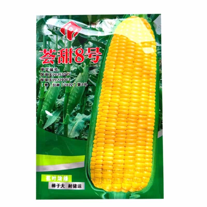 荟甜8号水果玉米种子生吃鲜食超甜玉米种子大棒苞叶浓绿