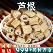 芦根中药材新鲜芦根干芦苇根芦根茶卢根