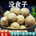 没食子中药材墨石子无食子没石子