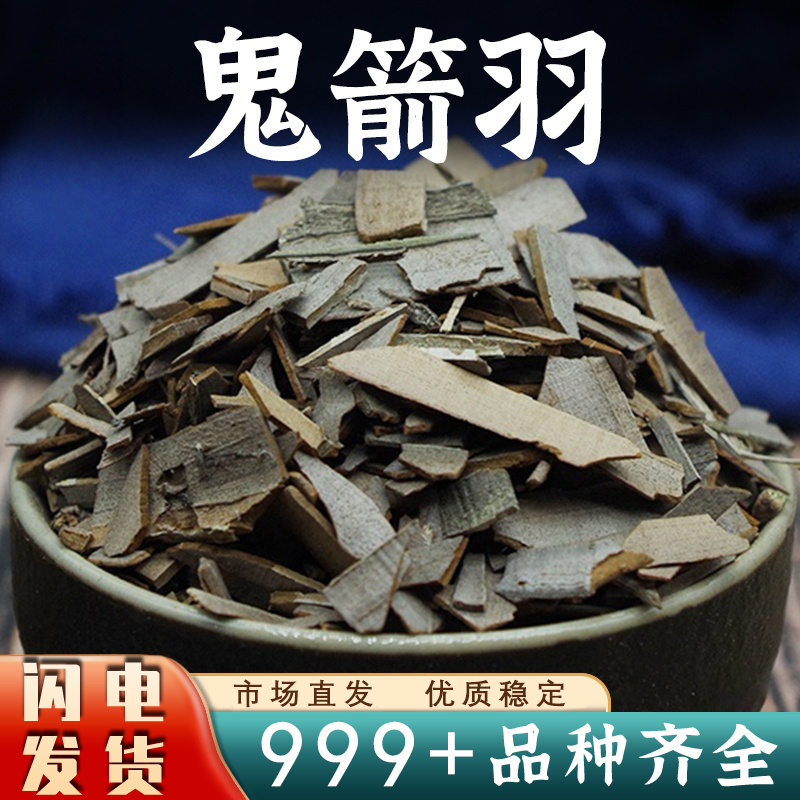 鬼箭羽中药材卫矛鬼见羽鬼箭羽鬼箭草新鲜干货草药去杆