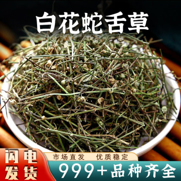 白花蛇舌草中药材百花蛇舌草百白花蛇草新鲜安国中药材批发