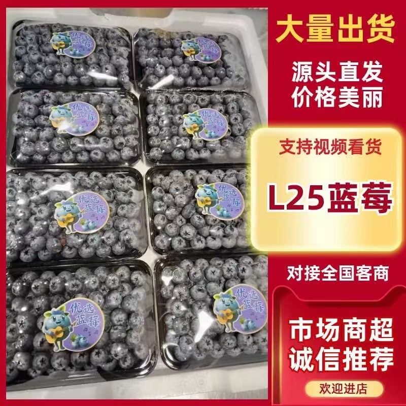 优瑞卡花香蓝莓口感香甜货量大可以视频看货实地看货挑货满意