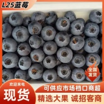 丹东蓝莓L25花香蓝莓成熟度刚好硬度高耐运输储存承接电商