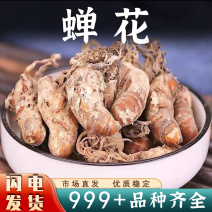 知了蝉花蝉花中药材安国中药材批发