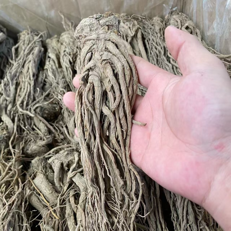 当归条甘肃当归条当归个岷县当归条批发代发