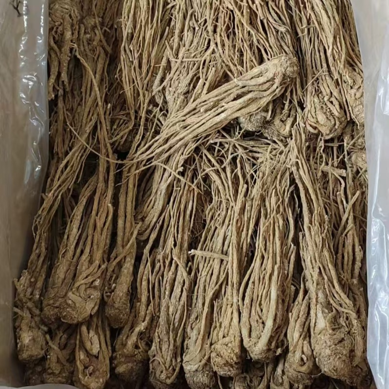 当归条甘肃当归条当归个岷县当归条批发代发