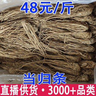 当归条甘肃当归条当归个岷县当归条批发代发
