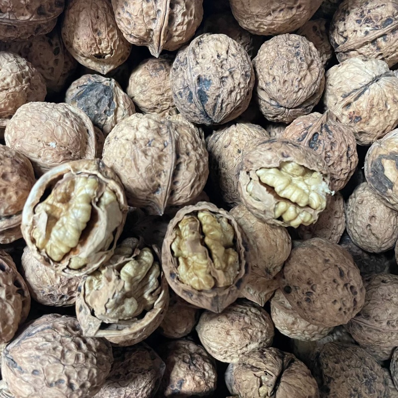 薄皮核桃云南大理漾濞薄皮核桃薄皮核桃批发代发