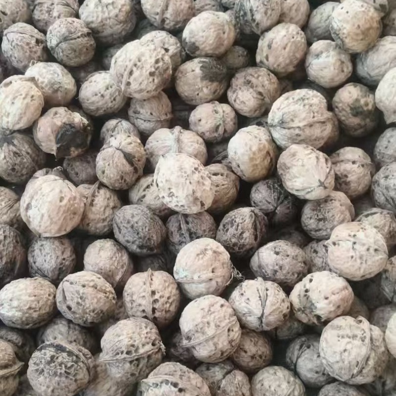薄皮核桃云南大理漾濞薄皮核桃薄皮核桃批发代发