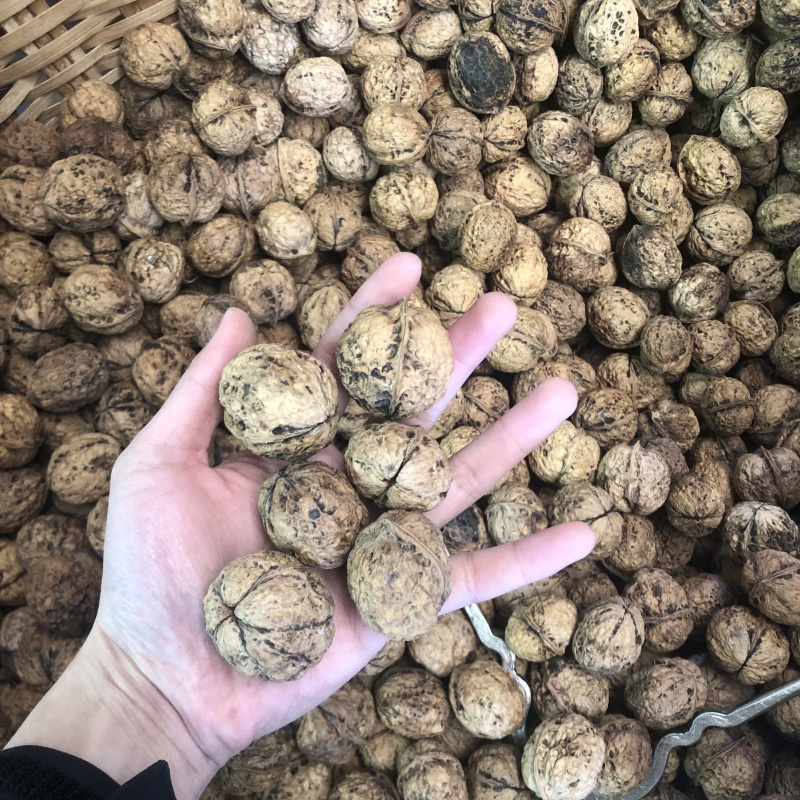 薄皮核桃云南大理漾濞薄皮核桃薄皮核桃批发代发