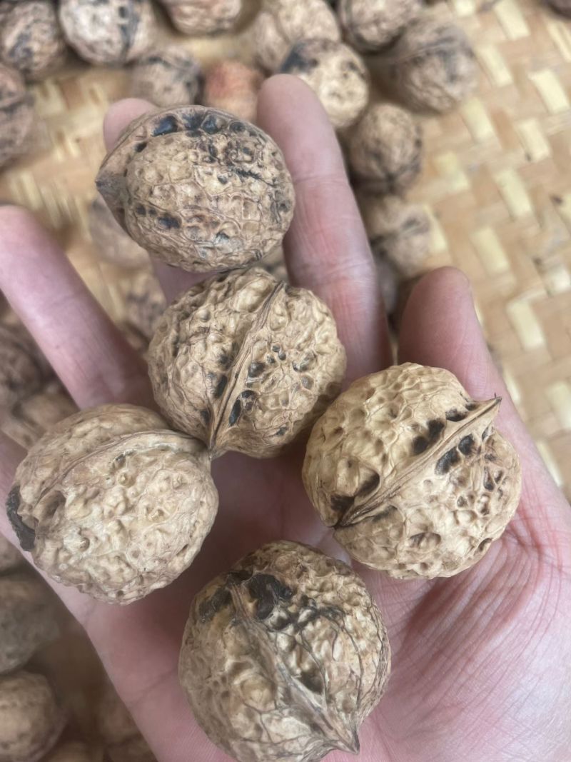 薄皮核桃云南大理漾濞薄皮核桃薄皮核桃批发代发