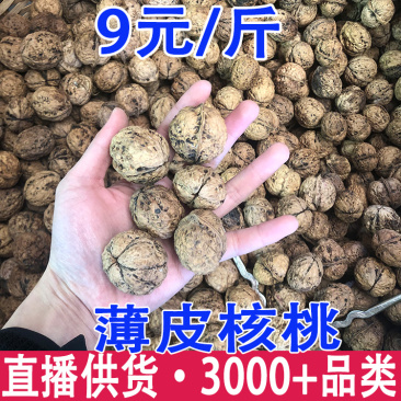 薄皮核桃云南大理漾濞薄皮核桃薄皮核桃批发代发