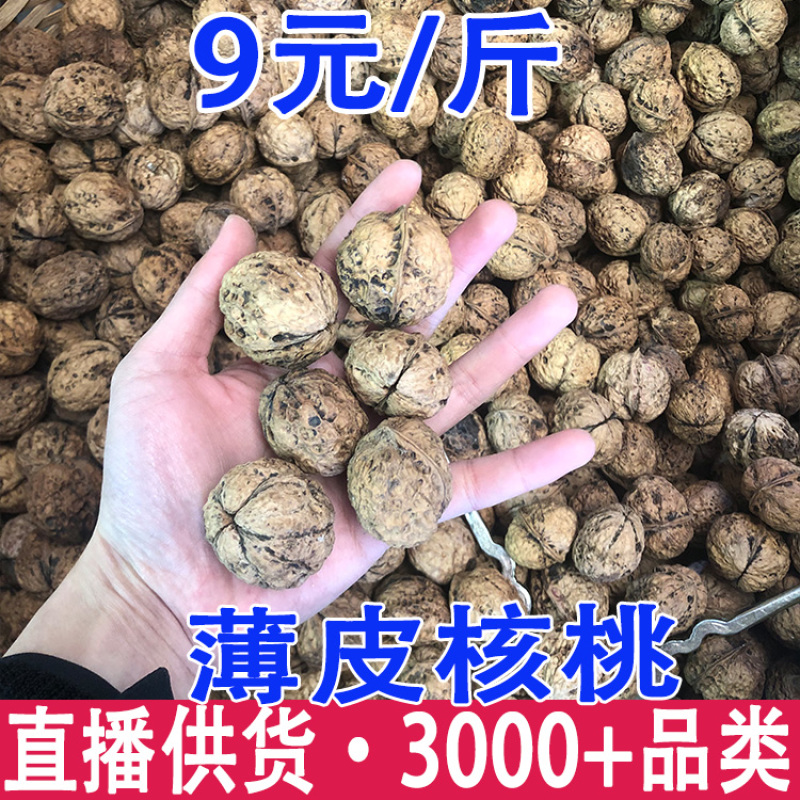 薄皮核桃云南大理漾濞薄皮核桃薄皮核桃批发代发