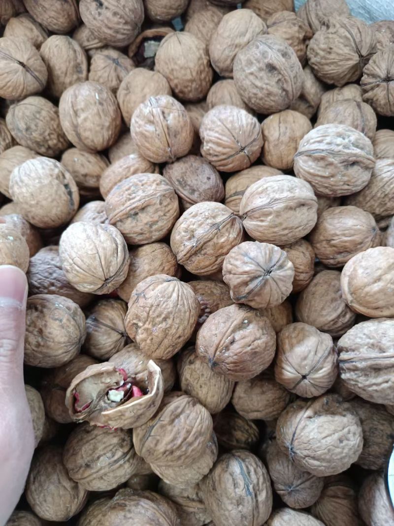 云南红皮核桃纸皮核桃薄皮干果红核桃散装批发·代发