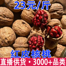 云南红皮核桃纸皮核桃薄皮干果红核桃散装批发·代发