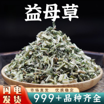 益母草中药材益母草新鲜干益母草晒干泡水泡脚安国中药材批发