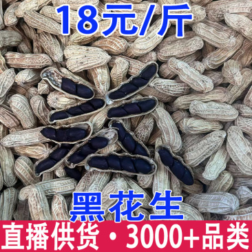 黑花生云南富晒黑花生黑花生粒带壳黑花生黑花生批发