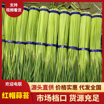 《电商供应》市场供应