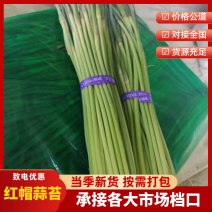 蒜苔大量供应价格美丽质量好需要的联系，产地直发诚信第一
