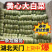【推荐】黄心白菜/湖北天门基地直供/适合发市场/加工厂等