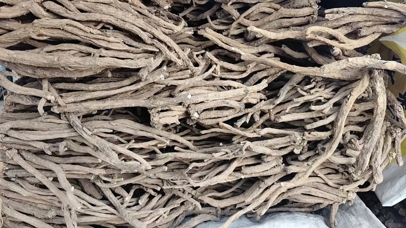 甘肃产地直销新货无硫白条党参统货足干散装可开发票