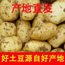 《云南土豆》盈江县土豆/干洗实验一，干洗微七，九恩十一