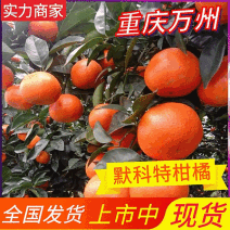 【急售】默科特橘子/重庆万州产地/果园订货洗果打蜡一条龙