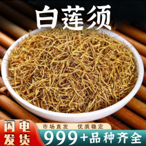 莲须中药材莲须茶白莲须莲子须莲花须莲蕊安国中药材批发