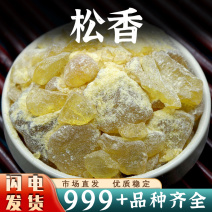 中药材松香松香块外用松香松香树脂安国中药材批发