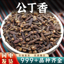 公丁香中药材钓鱼香料泡酒丁子香火锅调料卤料安国中药材批发