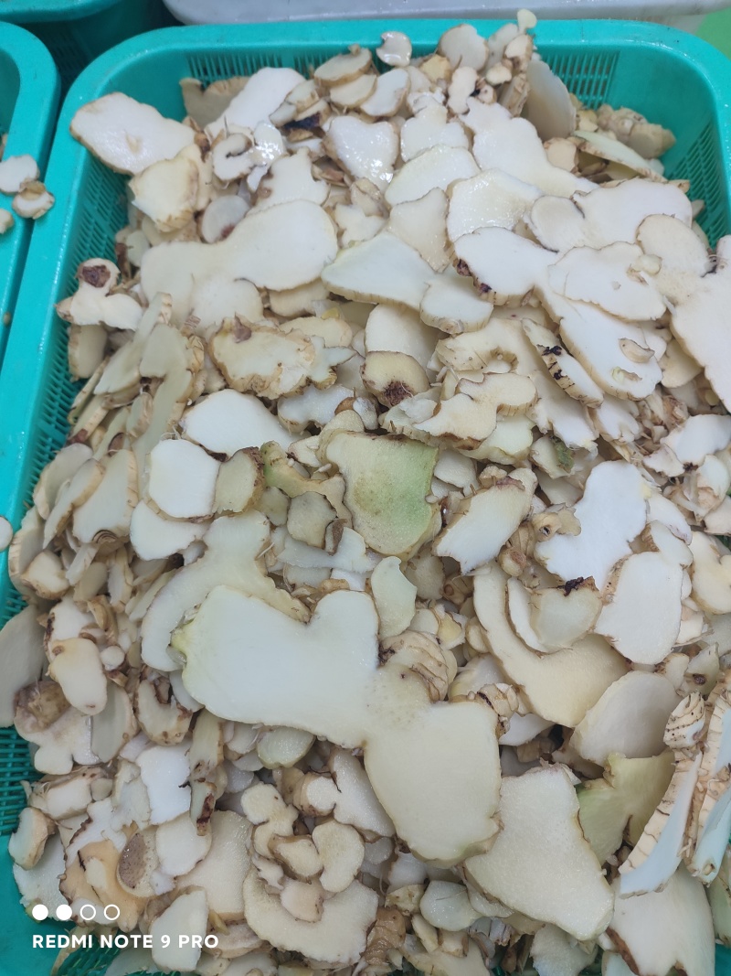新鲜黄精，大量供应，健康美味，品质保证，速来选购！