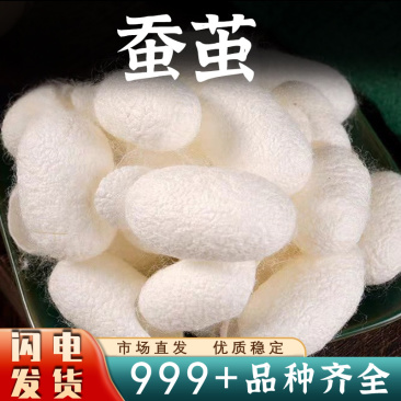 蚕茧壳蚕茧手工品蚕茧蛹网抽丝蚕茧球白色干货安国中药材批发