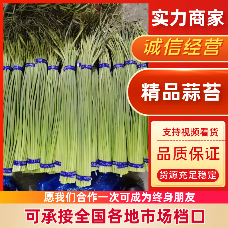 （精品）精品蒜薹，质优价廉，一吨起批，需要的客户联系