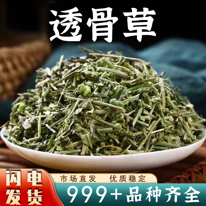 透骨草中药材新鲜珍珠透骨草非野生泡脚安国中药材批发