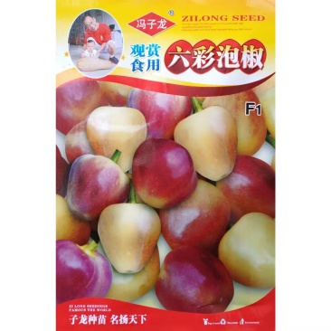 观赏食用六彩泡椒种子彩椒属朝天椒种籽中小型盆栽辣椒种子