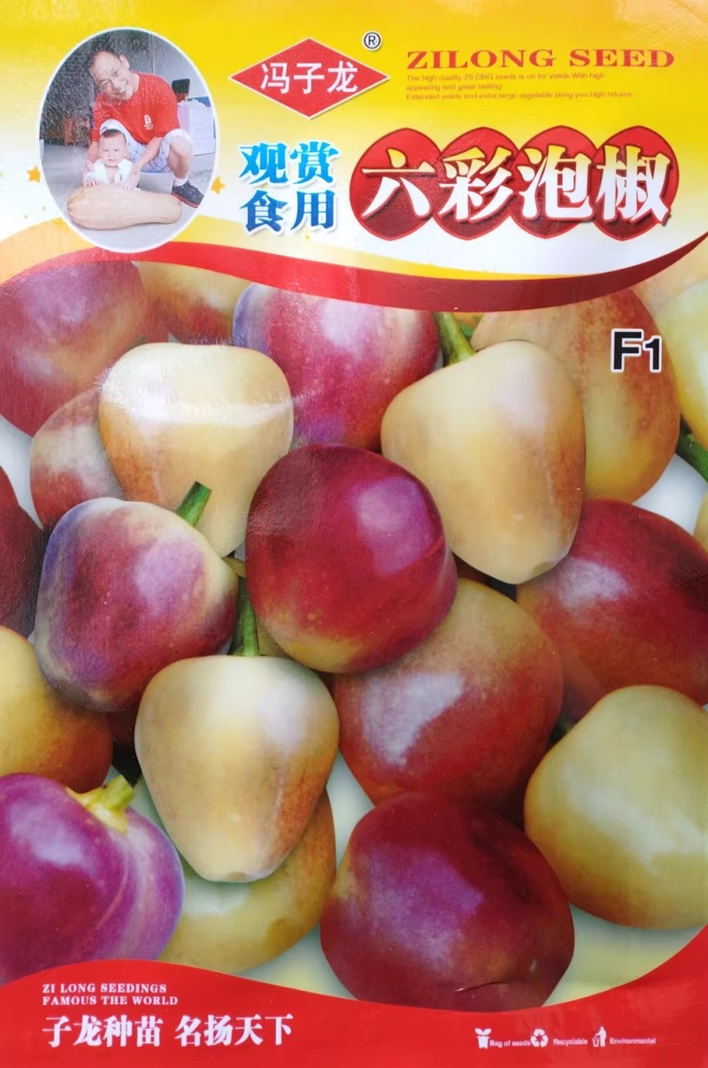 观赏食用六彩泡椒种子彩椒属朝天椒种籽中小型盆栽辣椒种子