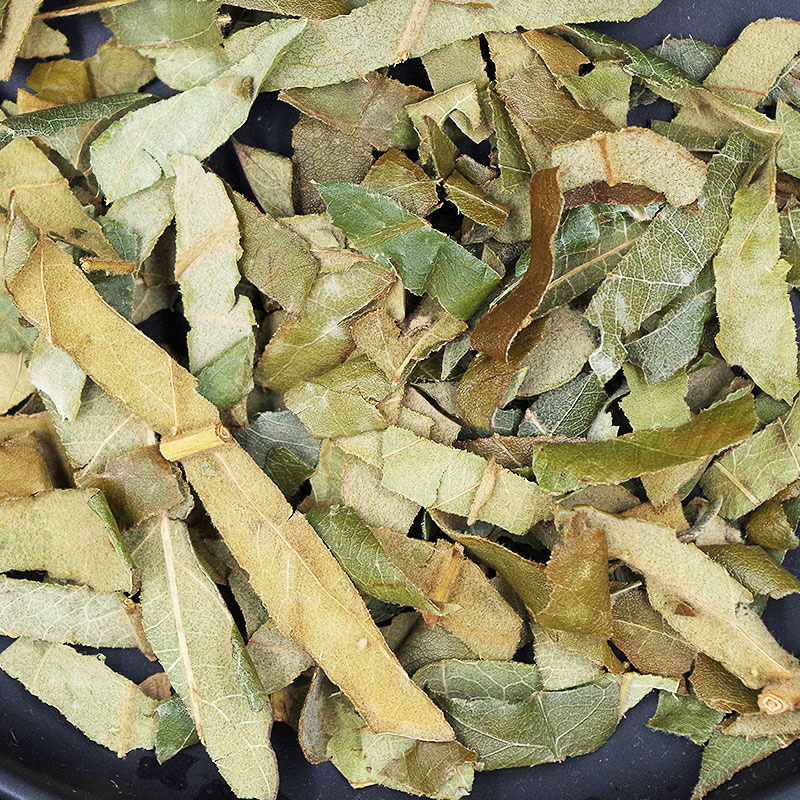 枇杷叶中药材新鲜枇杷叶茶非野生枇杷叶干货煮水琵琶叶批发