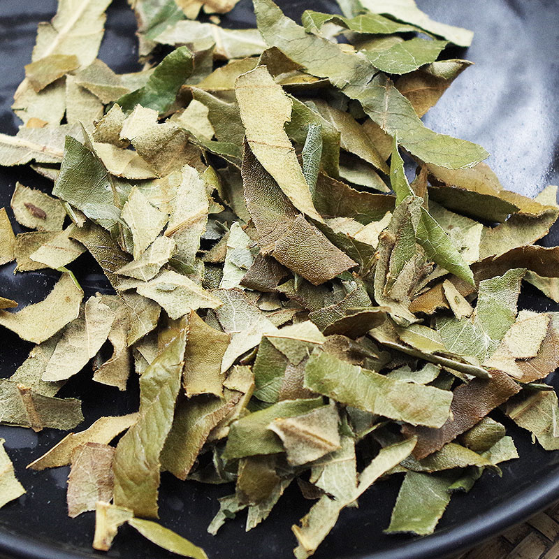 枇杷叶中药材新鲜枇杷叶茶非野生枇杷叶干货煮水琵琶叶批发