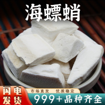中药材海螵蛸大块新货墨鱼骨大乌贼安国中药材批发