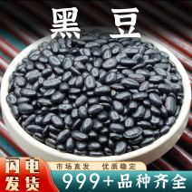 中药材黑豆可搭黑米芝麻五谷杂粮安国中药材批发