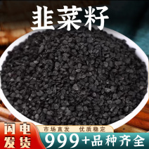 正宗中药材韭菜籽男性泡茶正品泡酒滋补韭菜子滋补韭菜籽批发