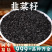 正宗中药材韭菜籽男性泡茶正品泡酒滋补韭菜子滋补韭菜籽批发