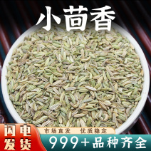 小茴香调料小回香籽茴香籽中药材新鲜非野生安国中药材批发