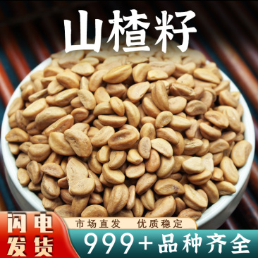 山楂籽中药材山楂子山楂籽颗粒山楂核大粒新货水洗干货批发