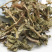 灵香草中药材批发