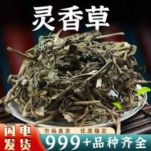 灵香草中药材批发