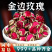 新金边玫瑰正品云南天然无硫玫瑰干花蕾泡水安国中药材批发