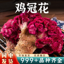 鸡冠花中药材红鸡冠花干花鸡公花鸡冠花安国中药材批发