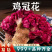 鸡冠花中药材红鸡冠花干花鸡公花鸡冠花安国中药材批发