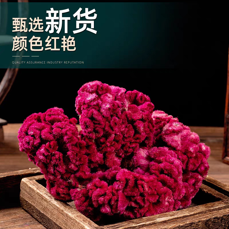 鸡冠花中药材红鸡冠花干花鸡公花鸡冠花安国中药材批发